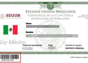 Pleno del Senado votará hoy nueva Ley de Población que crea CURP con fotografía