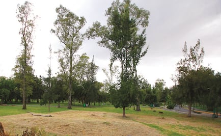 Detienen a hombre por robar celular de joven en bosque de Aragón