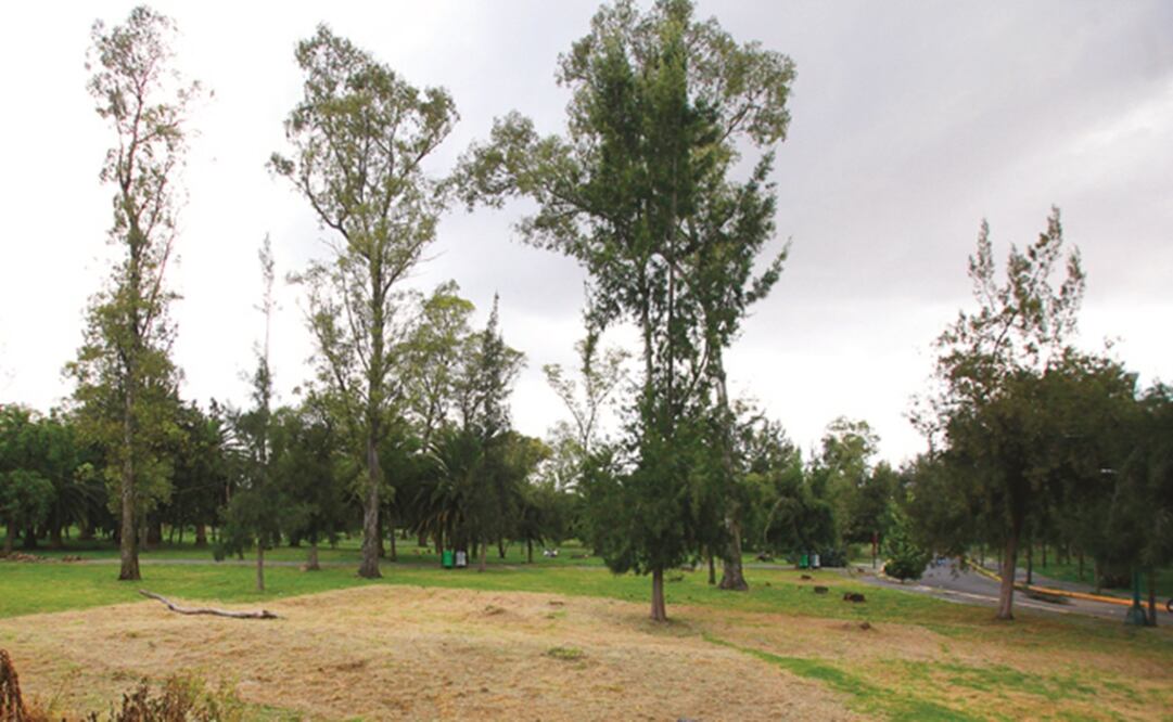 (Foto: Archivo/El Universal)