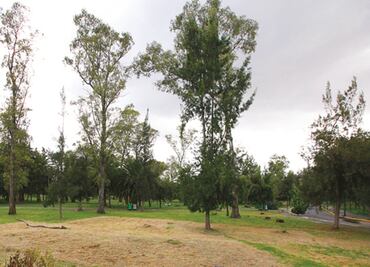 Detienen a hombre por robar celular de joven en bosque de Aragón