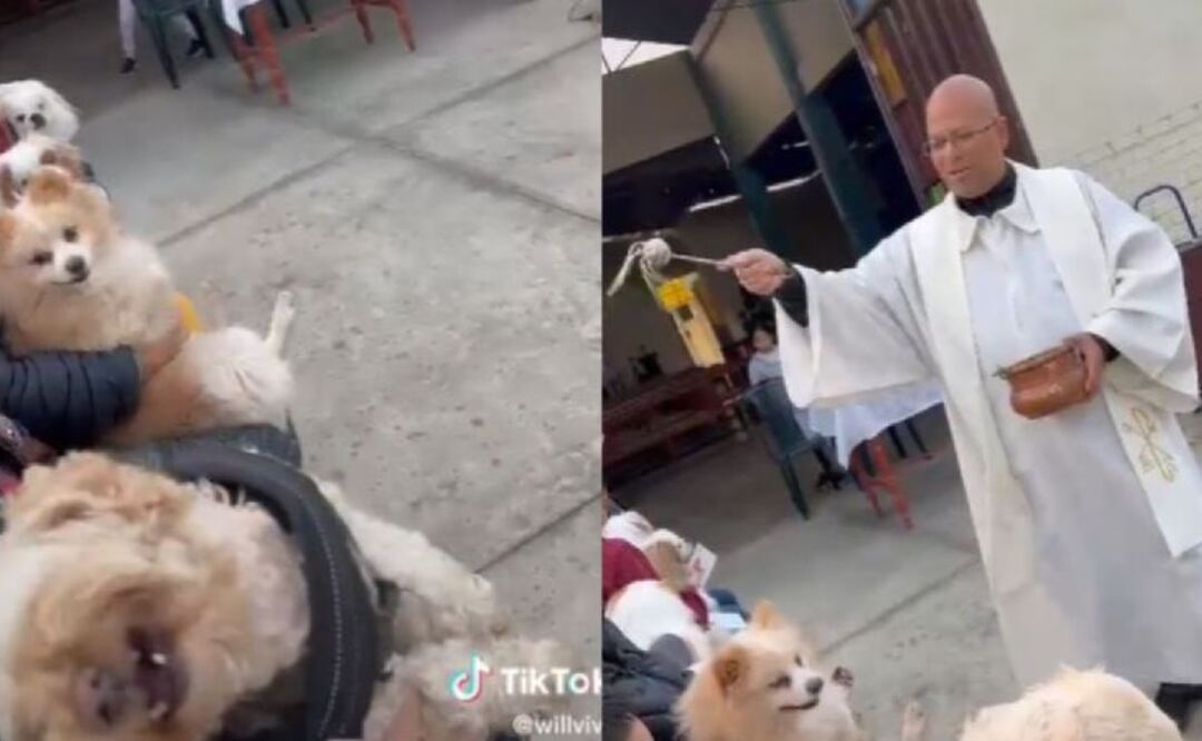 Uno de los perritos terminó en un exorcismo. Foto: TikTok @willvive