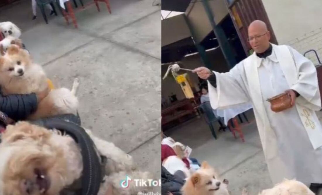 Uno de los perritos terminó en un exorcismo. Foto: TikTok @willvive