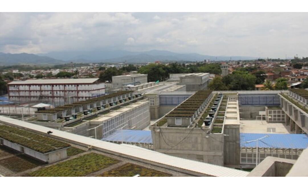 Foto: Twitter @HRI_ONG