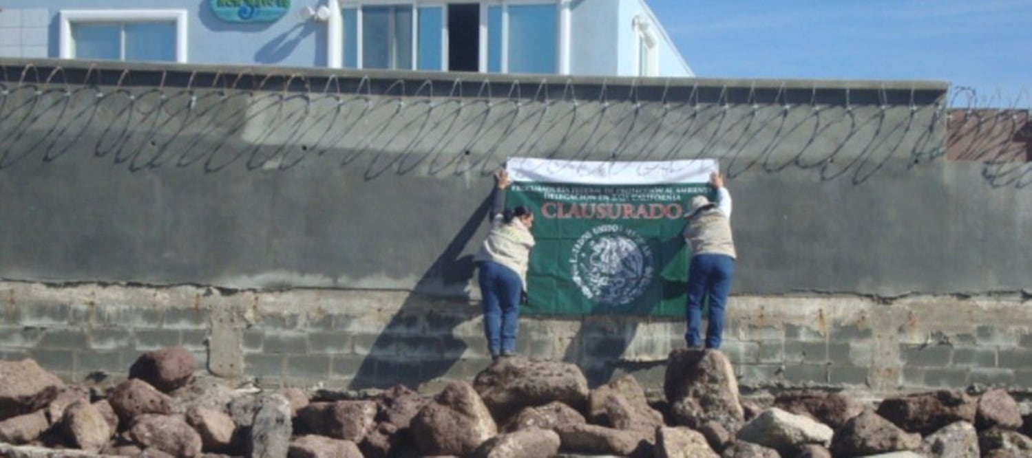 Una de las obras clausuradas fue una barda a base de concreto de 60 metros de largo y tres de altura (Foto: @PROFEPA_Mx)