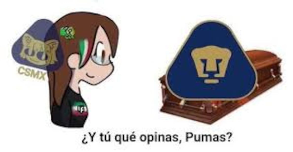 Memes Pumas