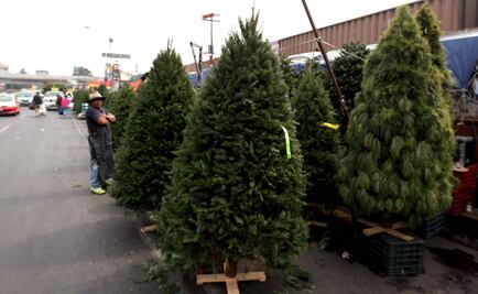 ​¿Comprarás árbol de Navidad? Adquiere #HechoEnMéxico