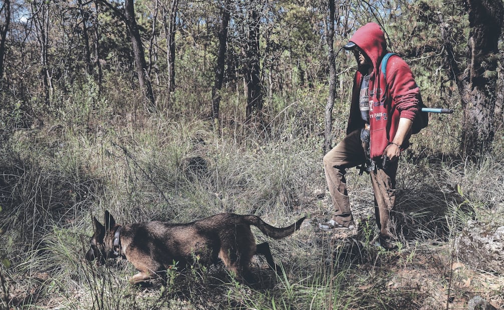 
Osa, una pastor belga malinois, fue entrenada por Milton para que lo olfateara y buscara, apoyado con una pulsera de cuero que el joven usaba. Foto: Gabriel Pano/ EL UNIVERSAL