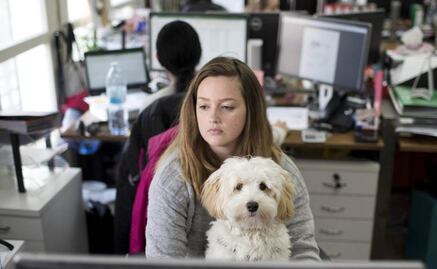 Los perros comparten rasgos de personalidad con sus dueños