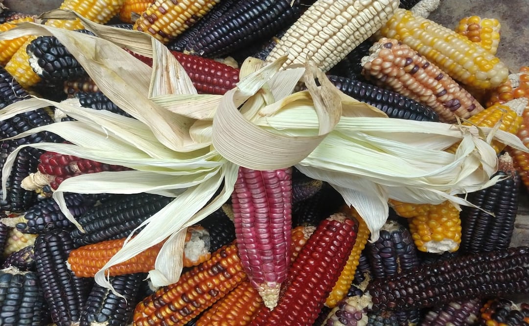 Fotos: Raquel del Castillo