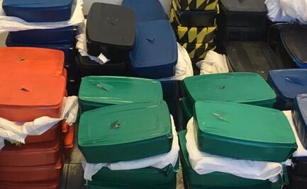 Guardia Nacional asegura 200 kilos de metanfetamina en Sonora