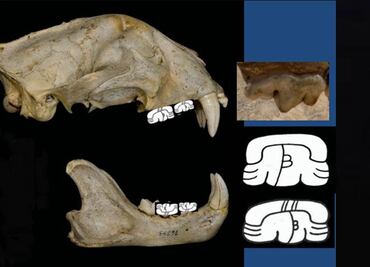 Descifran glifo maya en templo que acoge tumba del rey Pakal