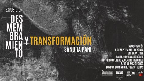 Sandra Pani reflexiona sobre la transformación humana en nueva exposición
