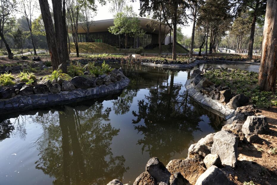 Foto: Gobierno de la Ciudad de México