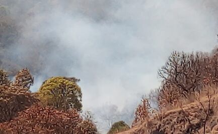 Combaten incendio forestal en el paraje Puentecillas, Edomex