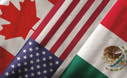 EU palomea como justa elección sindical de Tridomex, empresa de autopartes de la que se había quejado