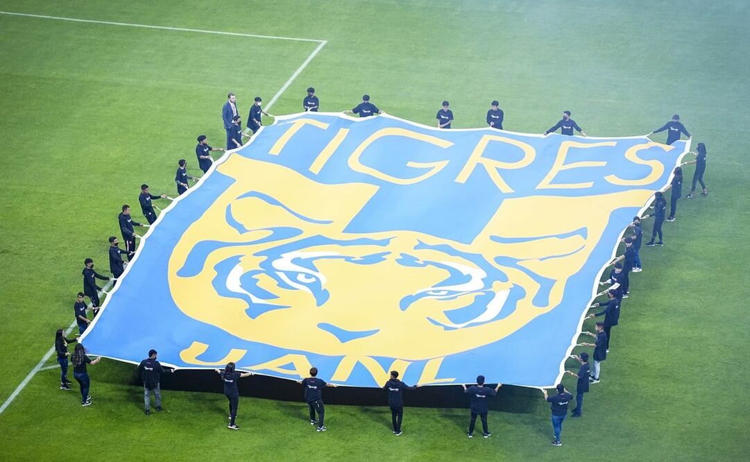 Tigres acaba de cambiar entrenador / FOTO: IMAGO7