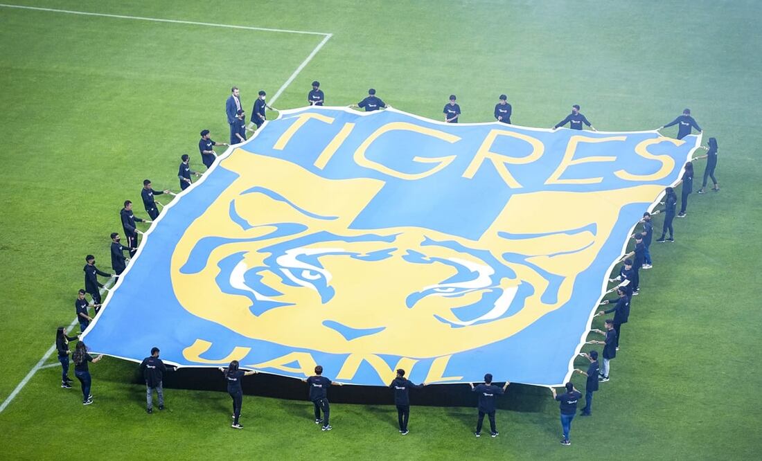 Tigres acaba de cambiar entrenador / FOTO: IMAGO7