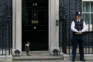 Cameron se va, pero Larry el gato cazaratones se queda