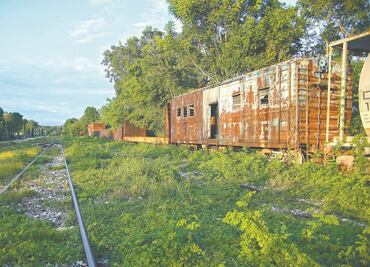 Solicitan consulta del Tren Maya en Mérida por la reserva ecológica Cuxtal