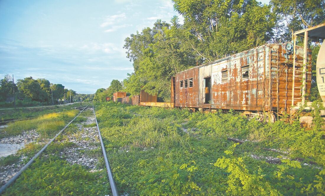 Foto: Archivo / EL UNIVERSAL