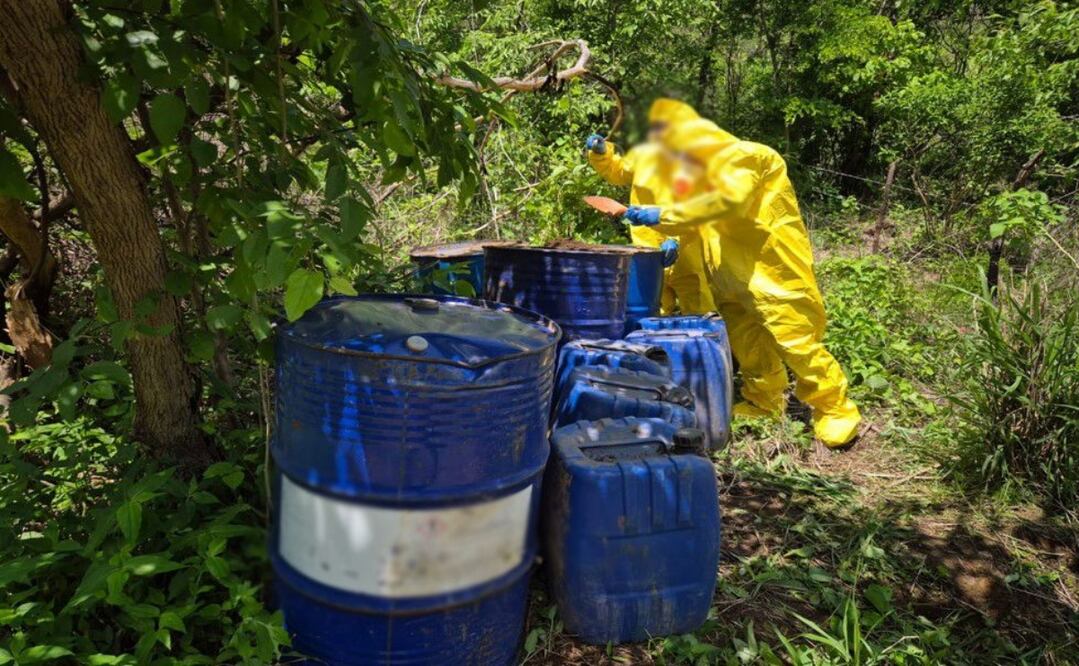 La afectación económica a la delincuencia organizada es de 21 millones de pesos. Foto: Especial