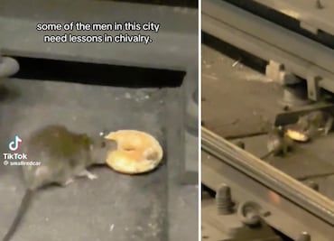 "¡Eso es amor!" Rata comparte su dona con otra en Nueva York y el video se vuelve viral