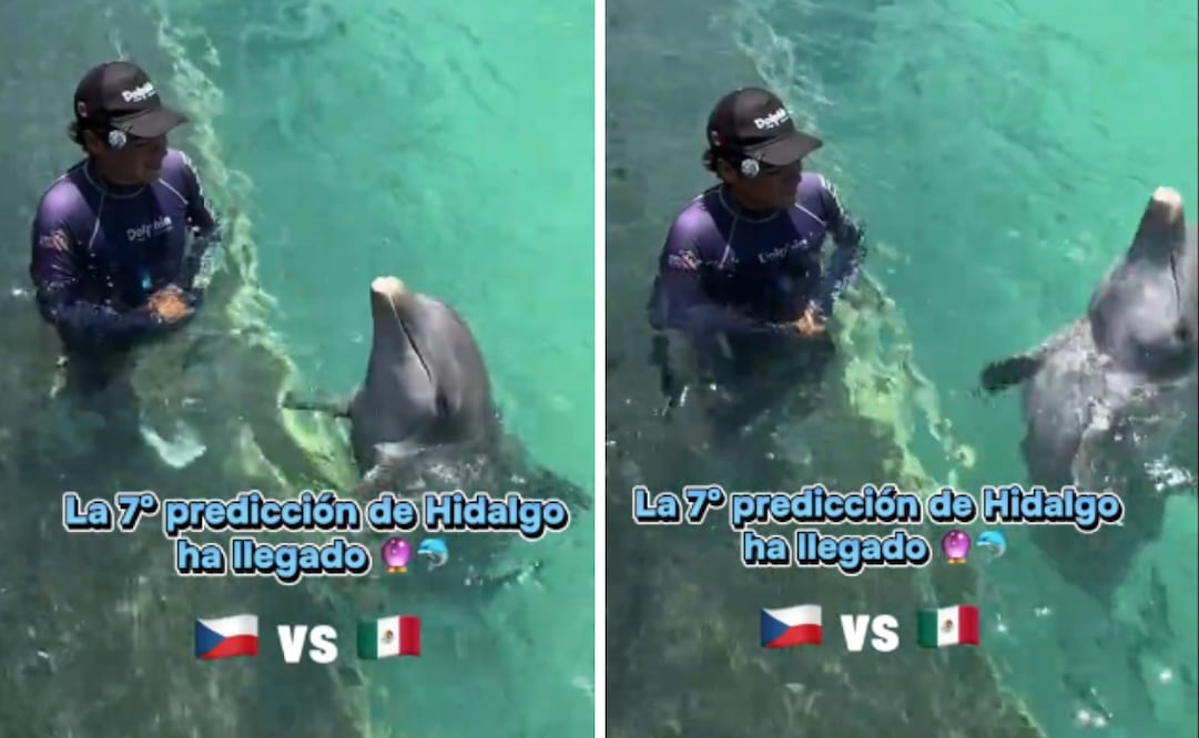 Foto: captura de pantalla en TikTok