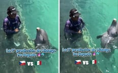 El nuevo "oráculo" del Mundial; Delfín “Hidalgo” predice el resultado de México vs. Chequia