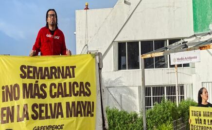 Greenpeace México toma oficinas de Semarnat en Cancún; exigen frenar devastación en la selva maya