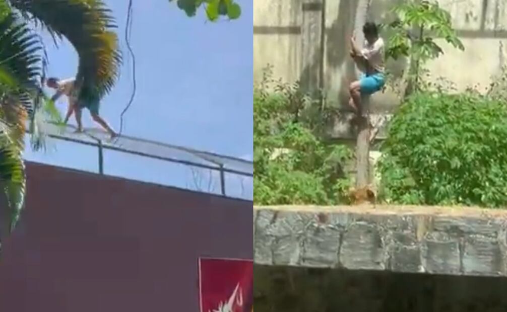 El personal de seguridad del Parque Zoobotánico Arruda Câmara intentó impedir la invasión. Foto: Captura de pantalla