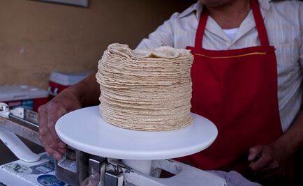 Fijarán en $17 el kilo de tortilla en Sinaloa