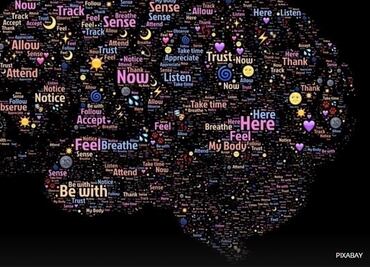 ¿Cómo fluye la información en el cerebro?