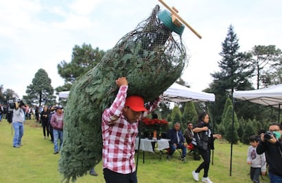 ¿Dónde conseguir árbol y Nochebuenas en Tlalpan? Arranca temporada navideña este 14 de noviembre