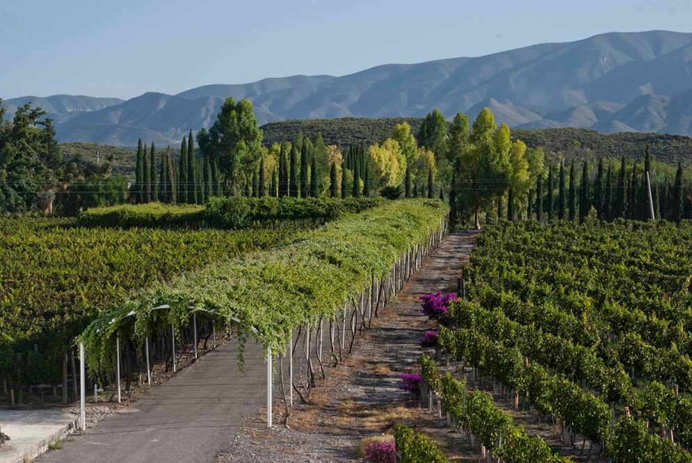 Foto: Sectur Coahuila