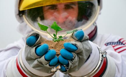 Microbios para botanear en el espacio