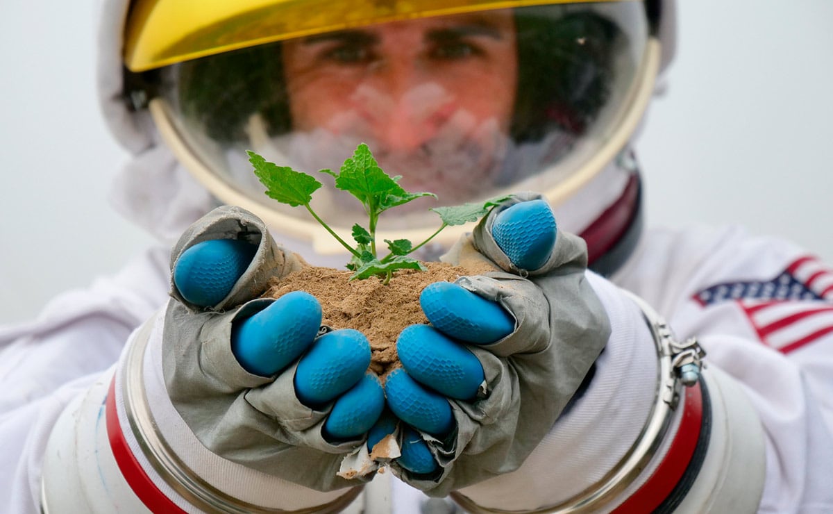 Ciencia Botana espacial