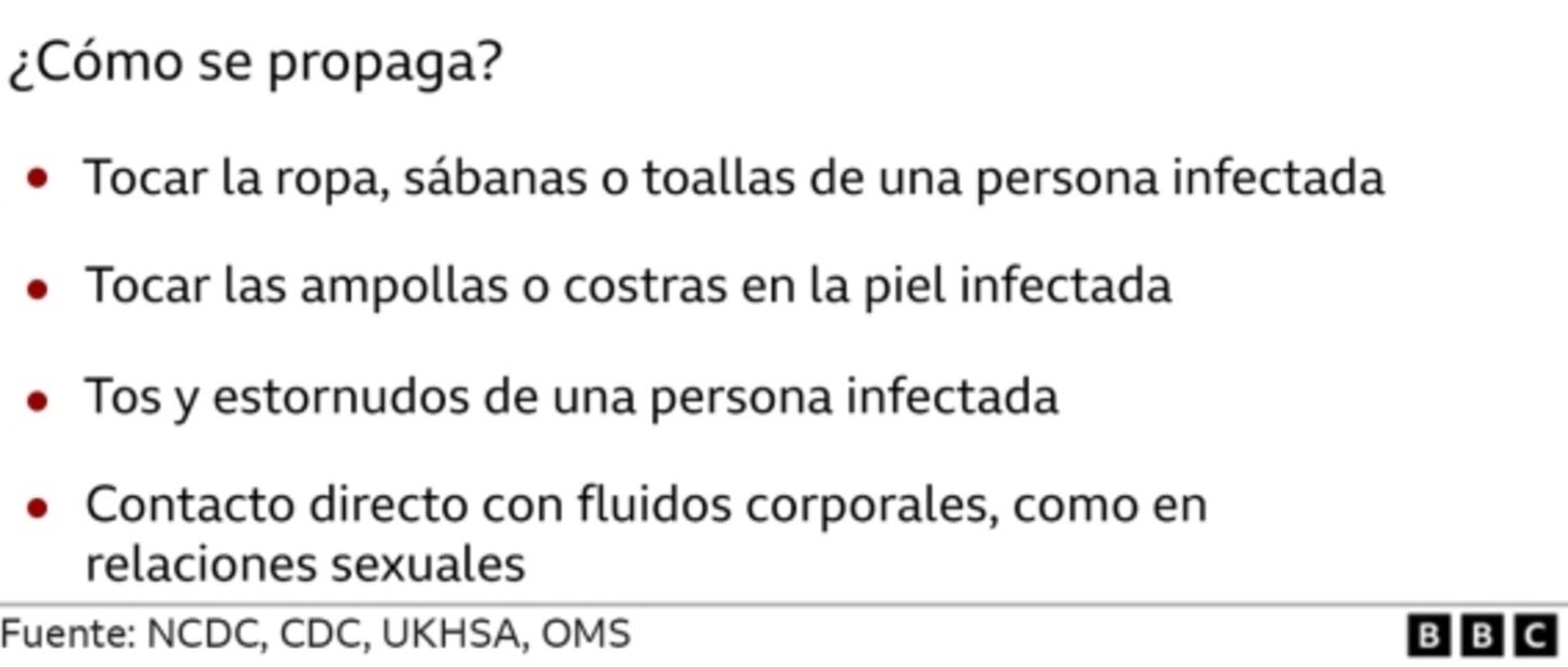 Viruela del mono: Cinco claves para comprender la infección 