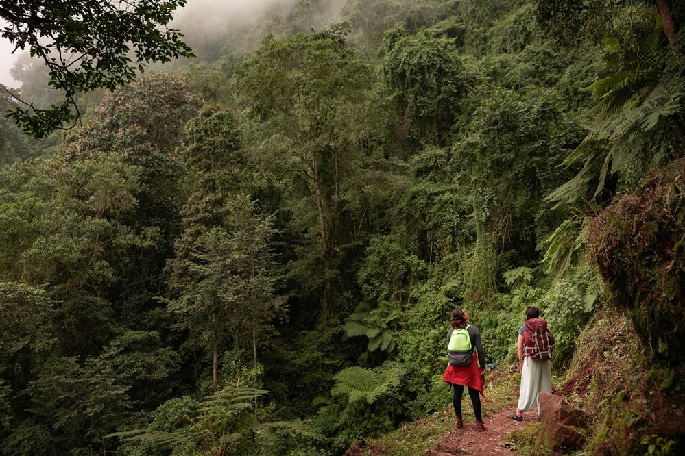 En la selva maya de Campeche se puede convivir con artesanos que enseñanan a los viajeros a hacer huipiles o hamacas / Foto: Airbnb