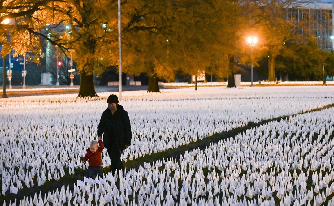 Liderados por la artista Suzanne Firstenberg, voluntarios plantaron banderas blancas en memoria de las personas fallecidas en EU por Covid-19.Foto:
