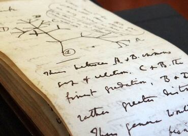 Devuelven cuadernos del científico Charles Darwin tras dos décadas de estar perdidos