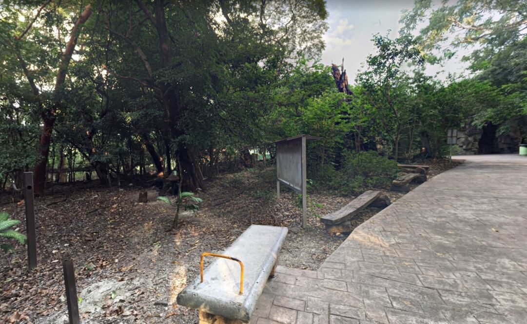 Foto: Archivo/ EL UNIVERSAL