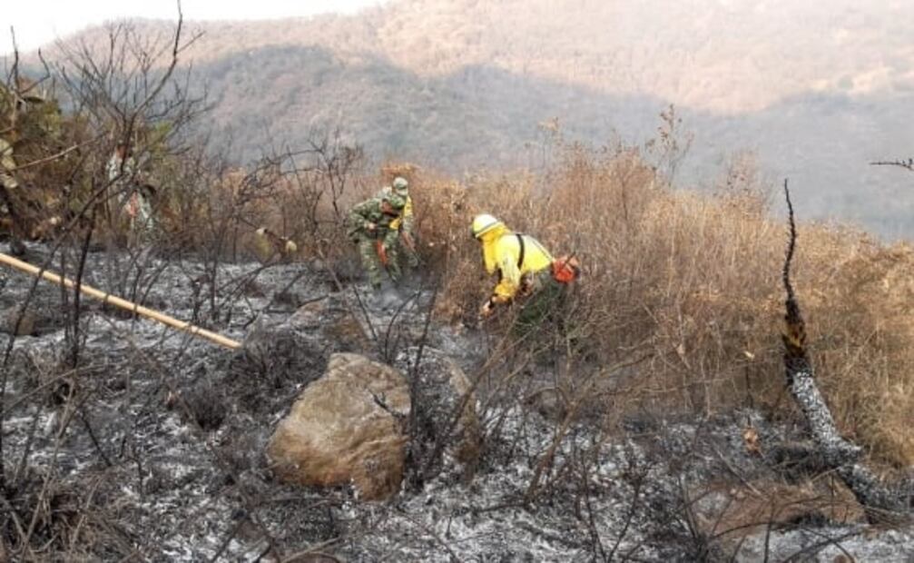 Controlan incendio forestal en la Sierra de Guadalupe en Coacalco 