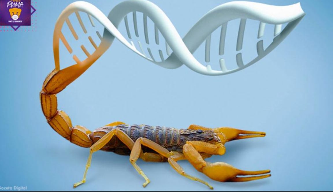 Foto: Tomada de Twitter/ @UNAM_MX