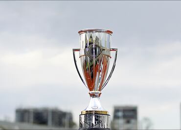 Liga MX: Estos equipos ya tienen su boleto a la Copa de Campeones de CONCACAF 2026