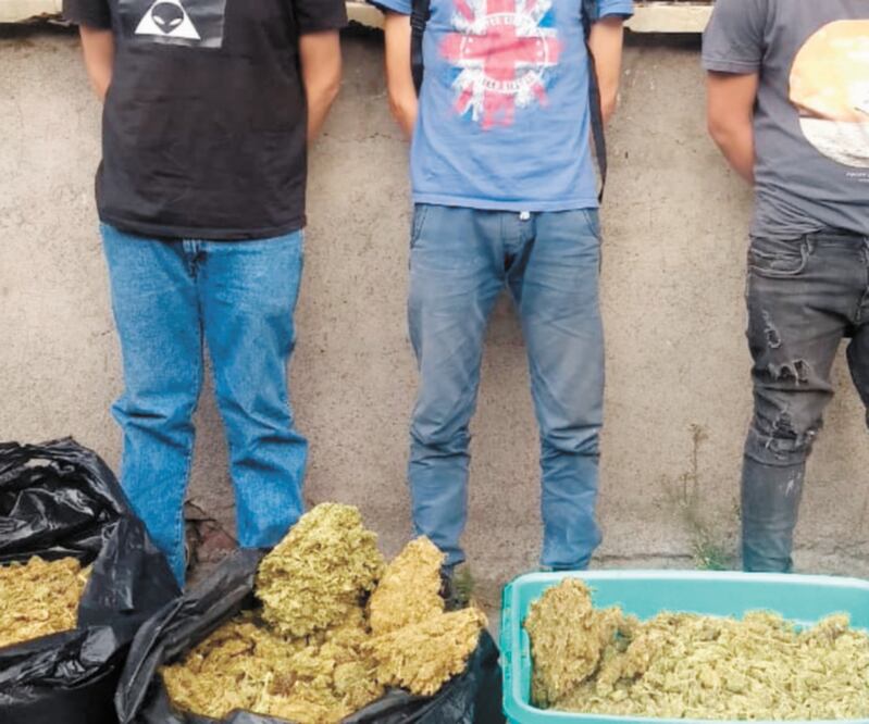 Ni la pandemia de Covid-19 detuvo la venta de estupefacientes en el país, actividad que año con año aumenta. ARCHIVO EL UNIVERSAL 