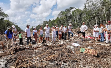 Infantes, buzos y activistas alistan amparos en contra de obras del Tren Maya en Q. Roo
