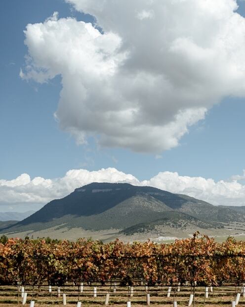 Los grandes terruños de Coahuila