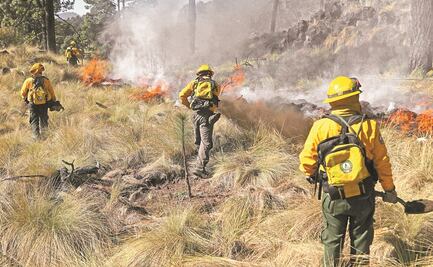 Somos los bomberos del medio ambiente, dicen combatientes de la Conafor