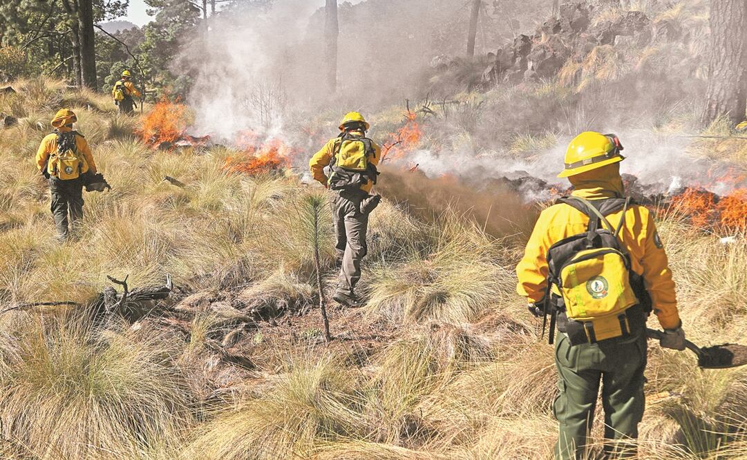 En una práctica a la que EL UNIVERSAL tuvo acceso, se observó cómo, armados con palas, picos, ropa especial y agua, los combatientes estudian el terreno y definen la estrategia para apagar el incendio. Fotos: Carlos Mejía. EL UNIVERSAL