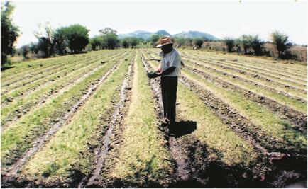Diputados avalan Ley de Derechos con obligación para campesinos a pagar por el uso de agua